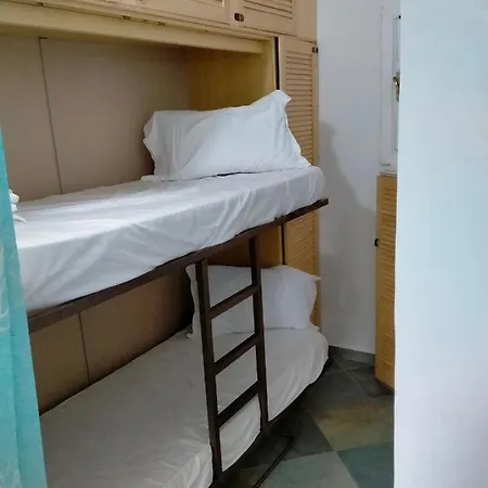 Bouganville Splendido *