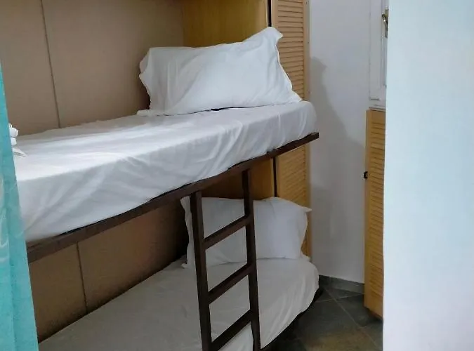 Bouganville Splendido *