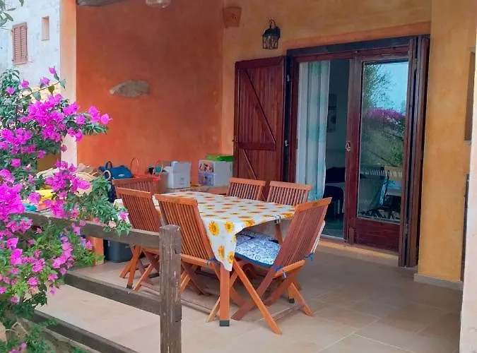 Bouganville Splendido *